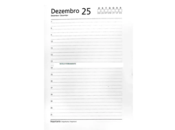 AGENDA PERMANENTE