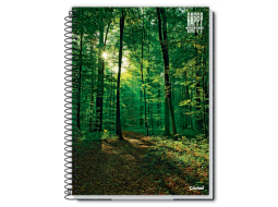 CAD 1/4 FLEX ESPIRAL 48 FLS - HAPPY ADVENTURE PC/20UN