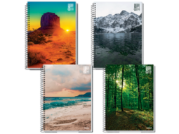 CAD 1/4 FLEX  ESPIRAL 96 FLS - HAPPY ADVENTURE PC/10UN