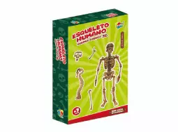 ESQUELETO HUMANO - QUEBRA CABECA 3 D