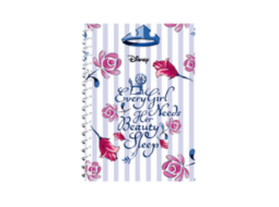 MINICADERNO POP - PRINCESAS PC/5UN