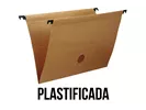 PASTA SUSP DELLOKRAFT PLAST.HASTE PLAST C/GP CX/50