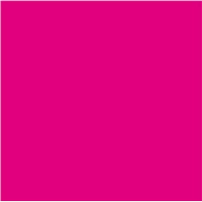 PLACA DE EVA 40X48 PC/10FLS PINK