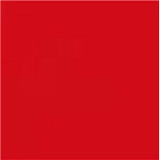 PLACA DE EVA 40X48 PC/10FLS VERMELHO