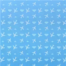 PLACA DE EVA ESTAMPADO 40x60 C/5FLS AVIAO