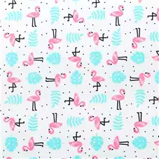 PLACA DE EVA ESTAMPADO 40x60 C/5FLS FLAMINGO